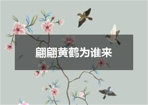 翩翩黄鹤为谁来