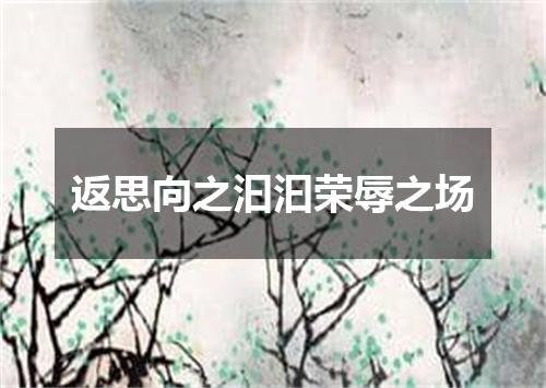 返思向之汩汩荣辱之场