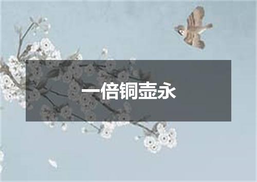 一倍铜壶永