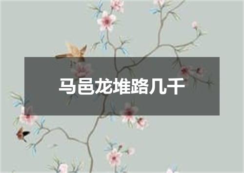 马邑龙堆路几千