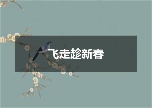 飞走趁新春