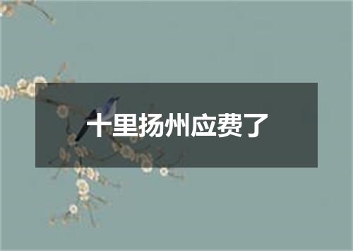十里扬州应费了