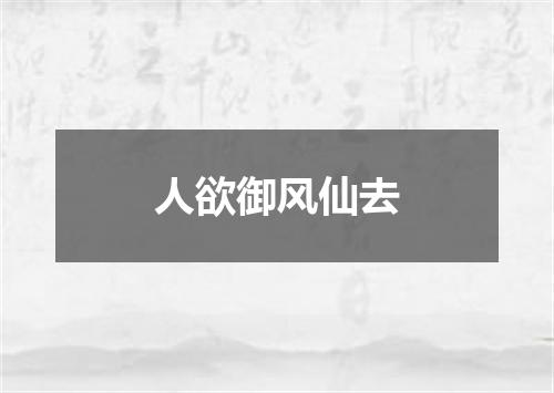 人欲御风仙去