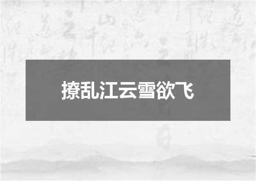 撩乱江云雪欲飞