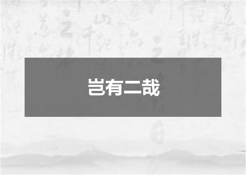 岂有二哉