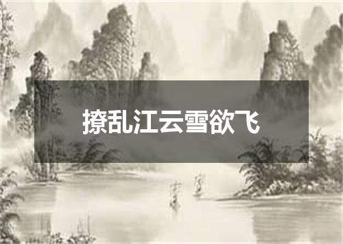 撩乱江云雪欲飞