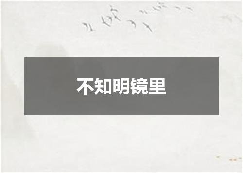 不知明镜里