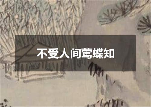 不受人间莺蝶知