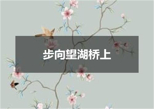 步向望湖桥上