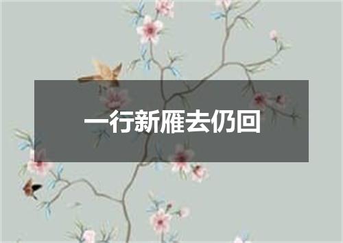 一行新雁去仍回