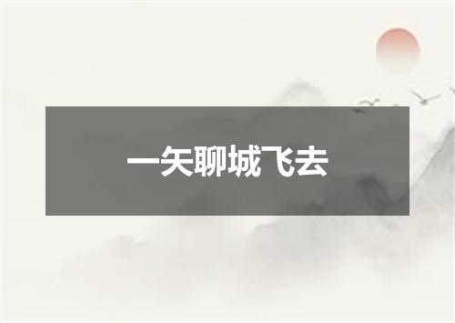 一矢聊城飞去