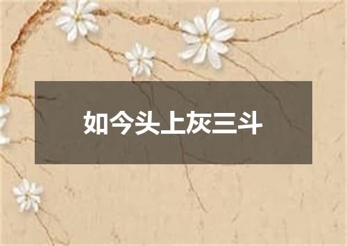 如今头上灰三斗
