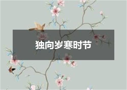 独向岁寒时节