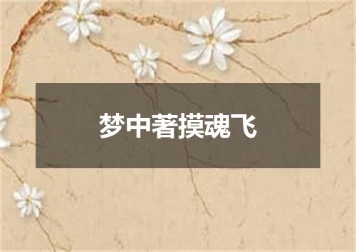 梦中著摸魂飞