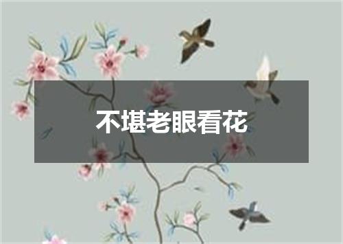 不堪老眼看花