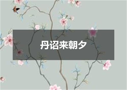 丹诏来朝夕