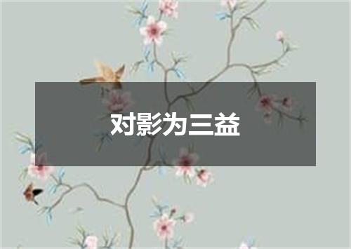 对影为三益