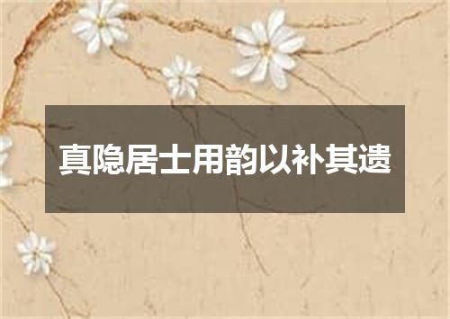 真隐居士用韵以补其遗