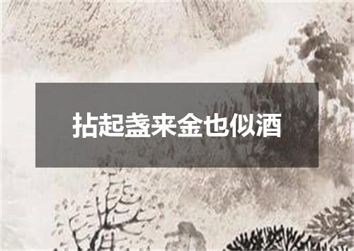 拈起盏来金也似酒