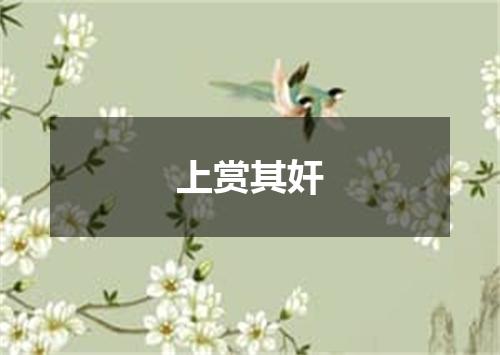 上赏其奸