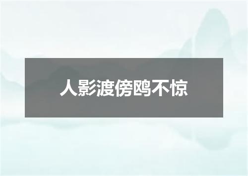 人影渡傍鸥不惊