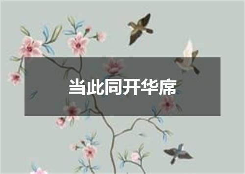 当此同开华席