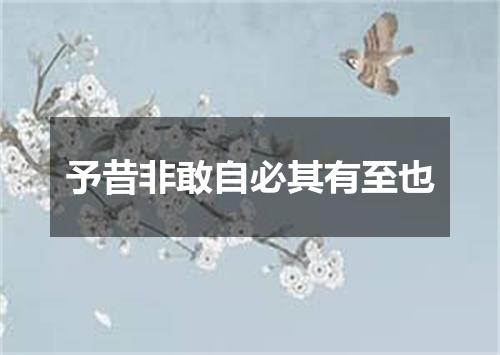 予昔非敢自必其有至也