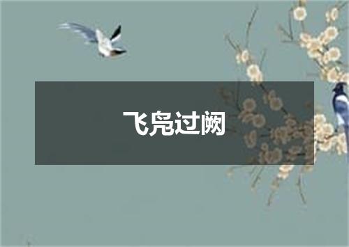 飞凫过阙