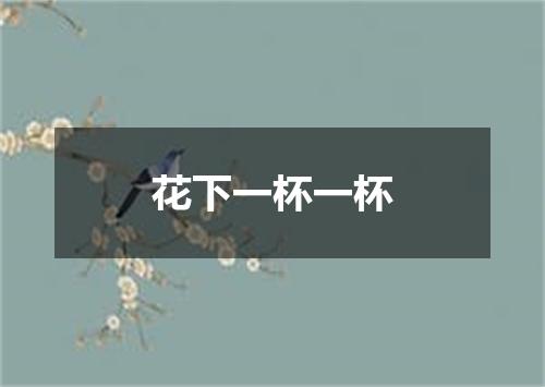 花下一杯一杯