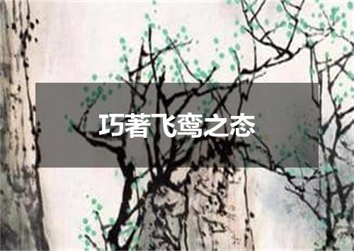 巧著飞鸾之态