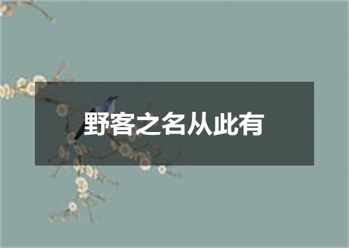 野客之名从此有