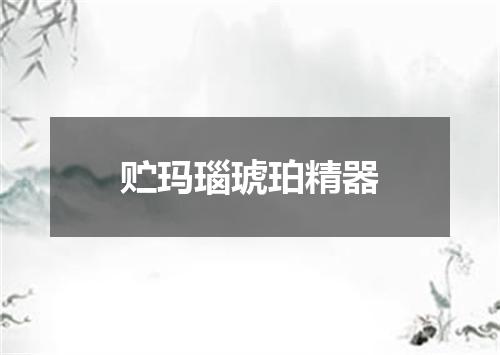 贮玛瑙琥珀精器