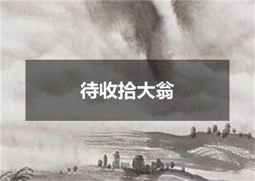 待收拾大翁