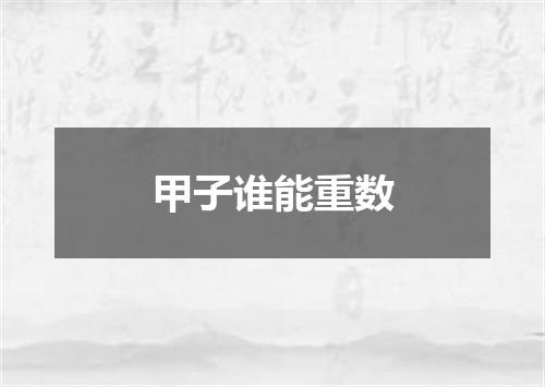 甲子谁能重数