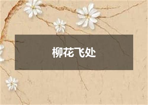 柳花飞处