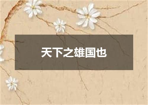 天下之雄国也
