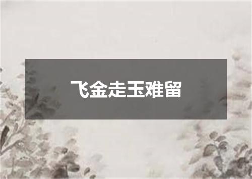 飞金走玉难留