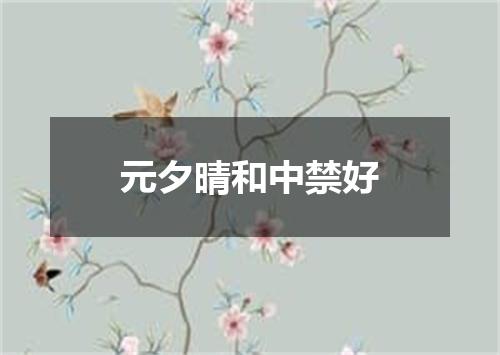 元夕晴和中禁好