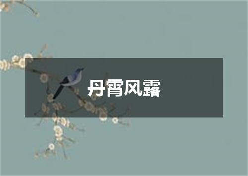 丹霄风露