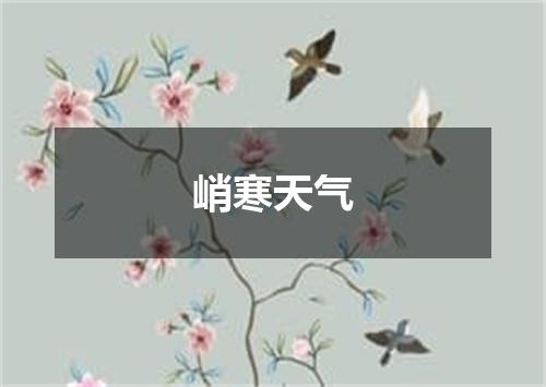 峭寒天气