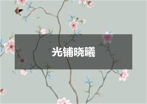 光铺晓曦