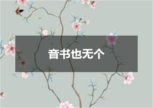 音书也无个