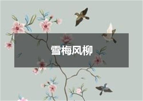 雪梅风柳
