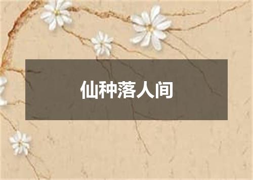 仙种落人间
