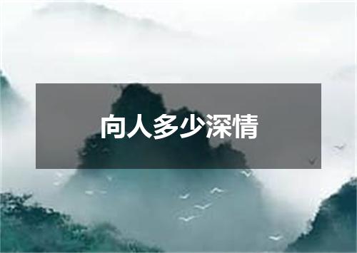 向人多少深情