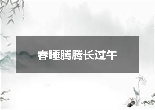 春睡腾腾长过午