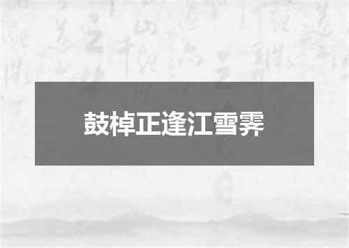 鼓棹正逢江雪霁