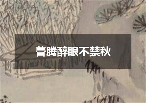 瞢腾醉眼不禁秋