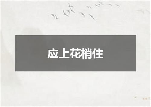 应上花梢住