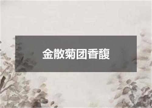 金散菊团香馥
